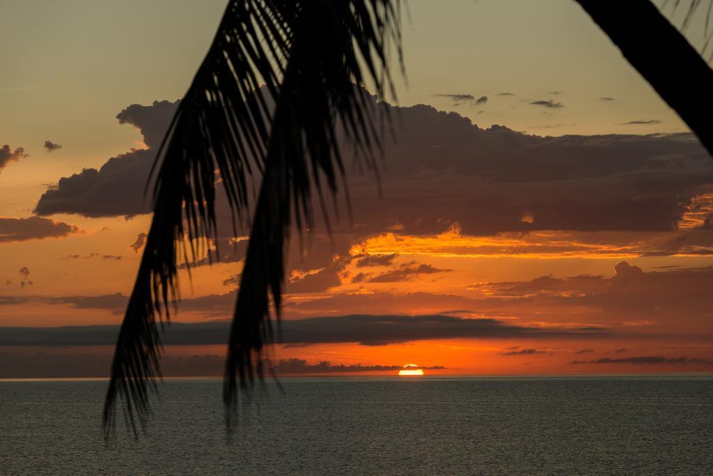 Thala Beach Nature Reserve Port Douglas Exterior foto