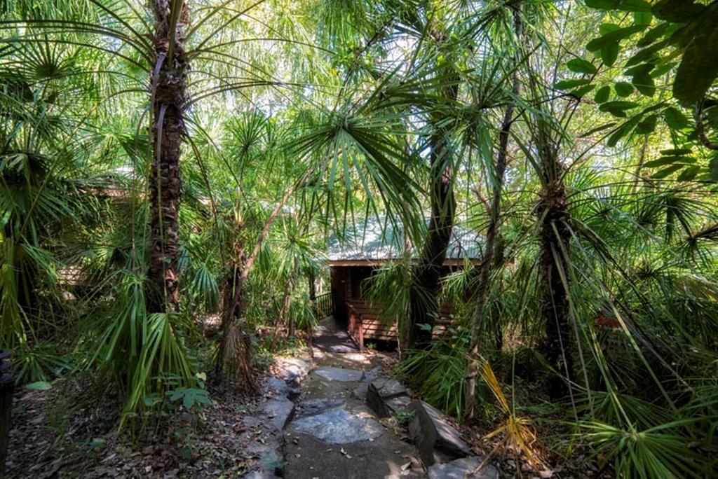 Thala Beach Nature Reserve Port Douglas Exterior foto